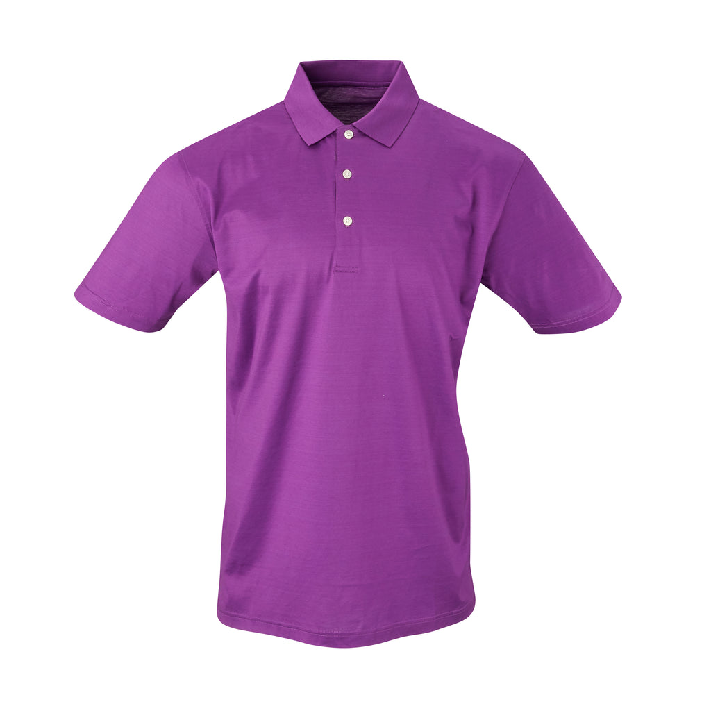 THE PRES MERCERIZED POLO - Berry IS62200